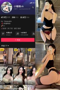 【在线看】抖音 小喵咪ck 微密圈 NO.004期 【73P2V】-秘语空间